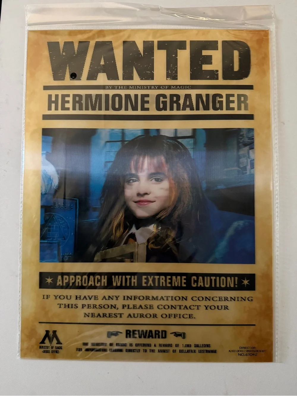 Wizarding World Of Harry Potter 3d lenticular